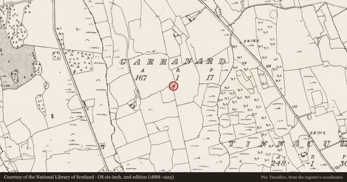 Ordnance Survey six-inch map, 2nd edition (1888–1915) covering the location of Ringfort - rath, Garranard, County Limerick, with a pin at the register's coordinates