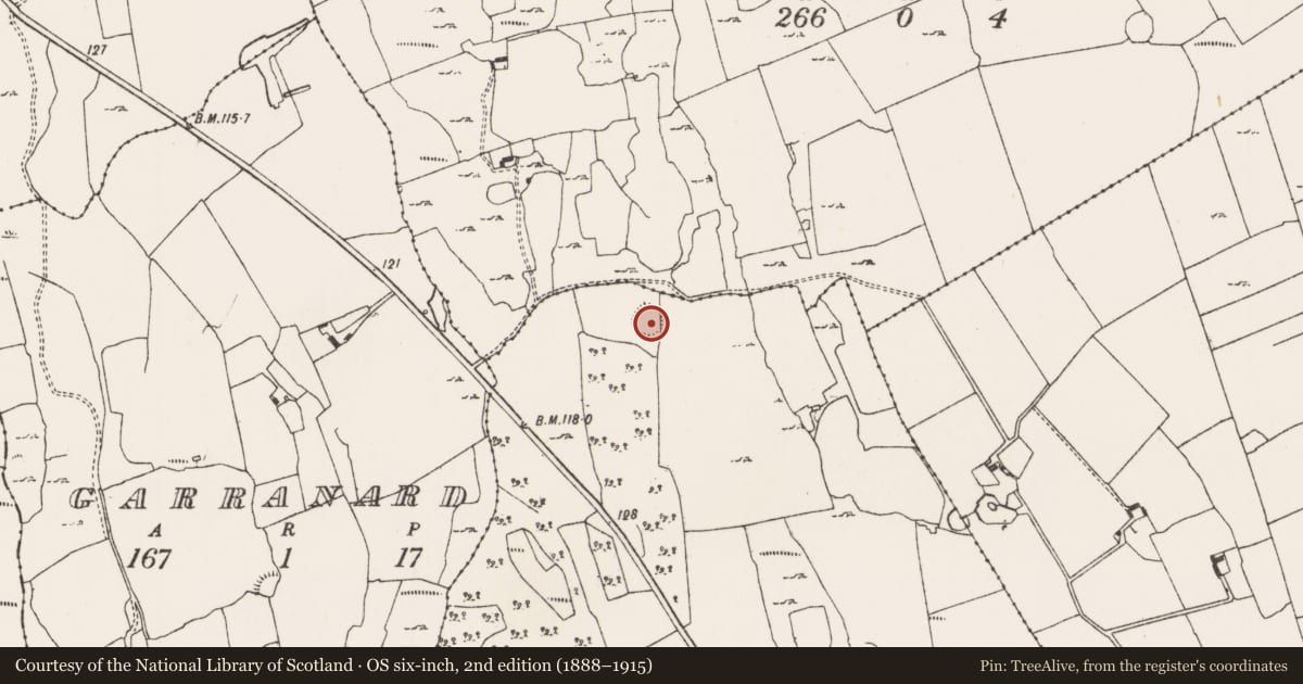Ordnance Survey six-inch map, 2nd edition (1888–1915) covering the location of Ringfort - rath, Tinnacullia, County Limerick, with a pin at the register's coordinates