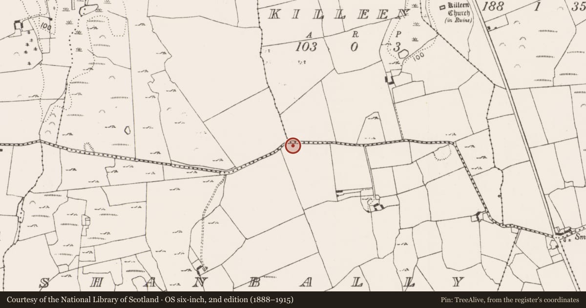 Ordnance Survey six-inch map, 2nd edition (1888–1915) covering the location of Ringfort - rath, Shanbally, County Limerick, with a pin at the register's coordinates
