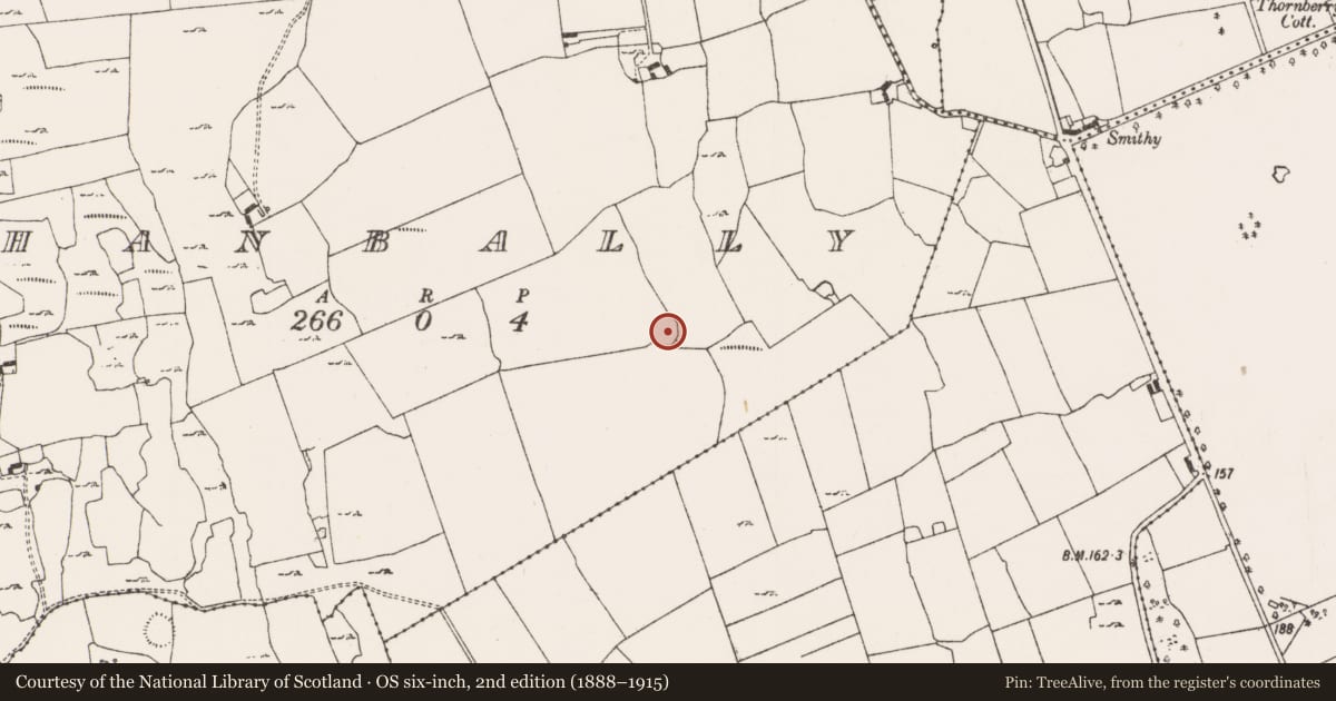 Ordnance Survey six-inch map, 2nd edition (1888–1915) covering the location of Ringfort - cashel, Shanbally, County Limerick, with a pin at the register's coordinates