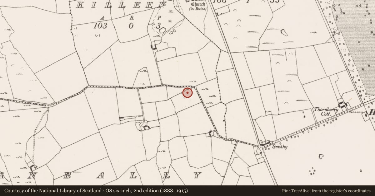 Ordnance Survey six-inch map, 2nd edition (1888–1915) covering the location of Moated site, Shanbally, County Limerick, with a pin at the register's coordinates