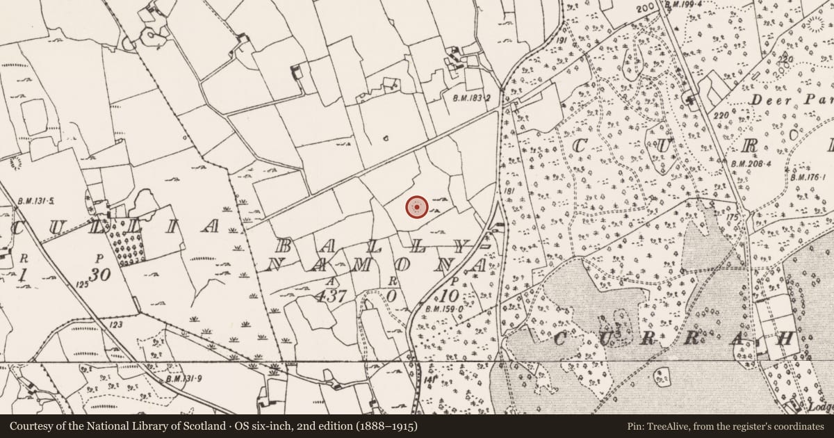 Ordnance Survey six-inch map, 2nd edition (1888–1915) covering the location of Ringfort - unclassified, Ballynamona, County Limerick, with a pin at the register's coordinates