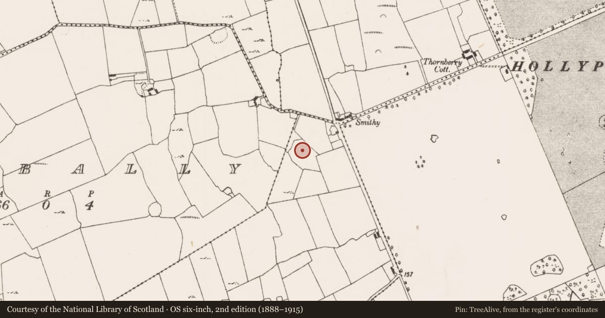 Ordnance Survey six-inch map, 2nd edition (1888–1915) covering the location of Ringfort - rath, Ballynamona, County Limerick, with a pin at the register's coordinates