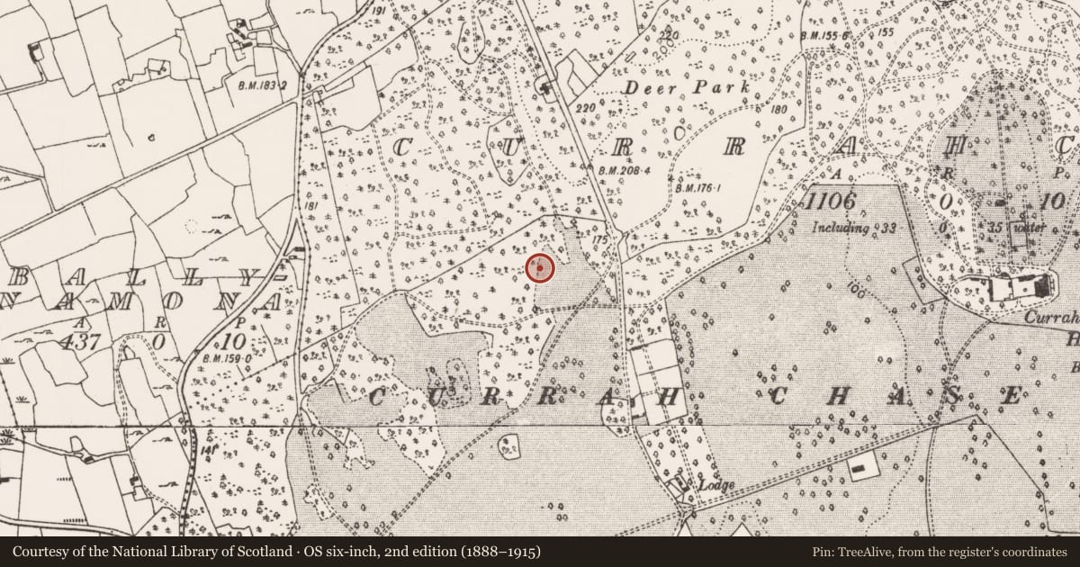 Ordnance Survey six-inch map, 2nd edition (1888–1915) covering the location of Cairn - unclassified, Currahchase, County Limerick, with a pin at the register's coordinates