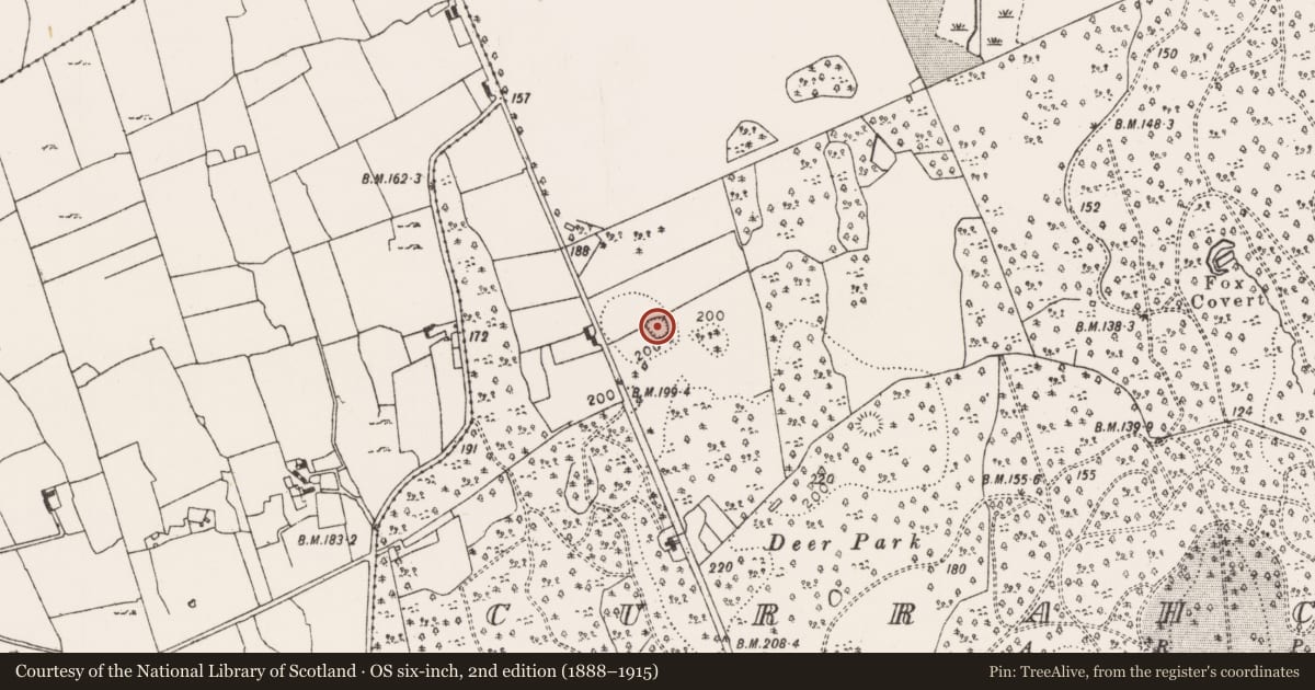 Ordnance Survey six-inch map, 2nd edition (1888–1915) covering the location of Ringfort - rath, Currahchase, County Limerick, with a pin at the register's coordinates
