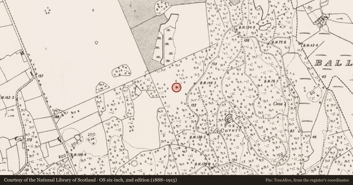 Ordnance Survey six-inch map, 2nd edition (1888–1915) covering the location of Ringfort - rath, Currahchase, County Limerick, with a pin at the register's coordinates