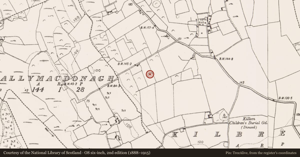 Ordnance Survey six-inch map, 2nd edition (1888–1915) covering the location of Ringfort - cashel, Kilbreedy, County Limerick, with a pin at the register's coordinates