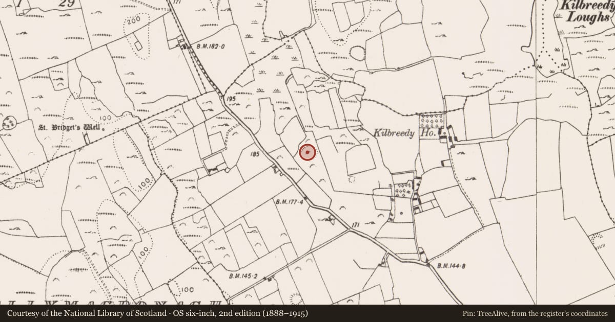 Ordnance Survey six-inch map, 2nd edition (1888–1915) covering the location of Ringfort - rath, Kilbreedy, County Limerick, with a pin at the register's coordinates