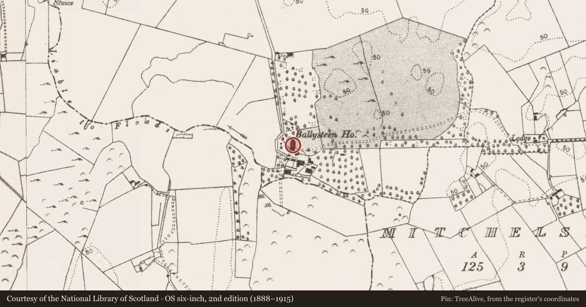 Ordnance Survey six-inch map, 2nd edition (1888–1915) covering the location of Country house, Ballysteen, County Limerick, with a pin at the register's coordinates