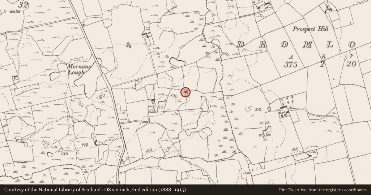 Ordnance Survey six-inch map, 2nd edition (1888–1915) covering the location of Ringfort - rath, Mornane, County Limerick, with a pin at the register's coordinates