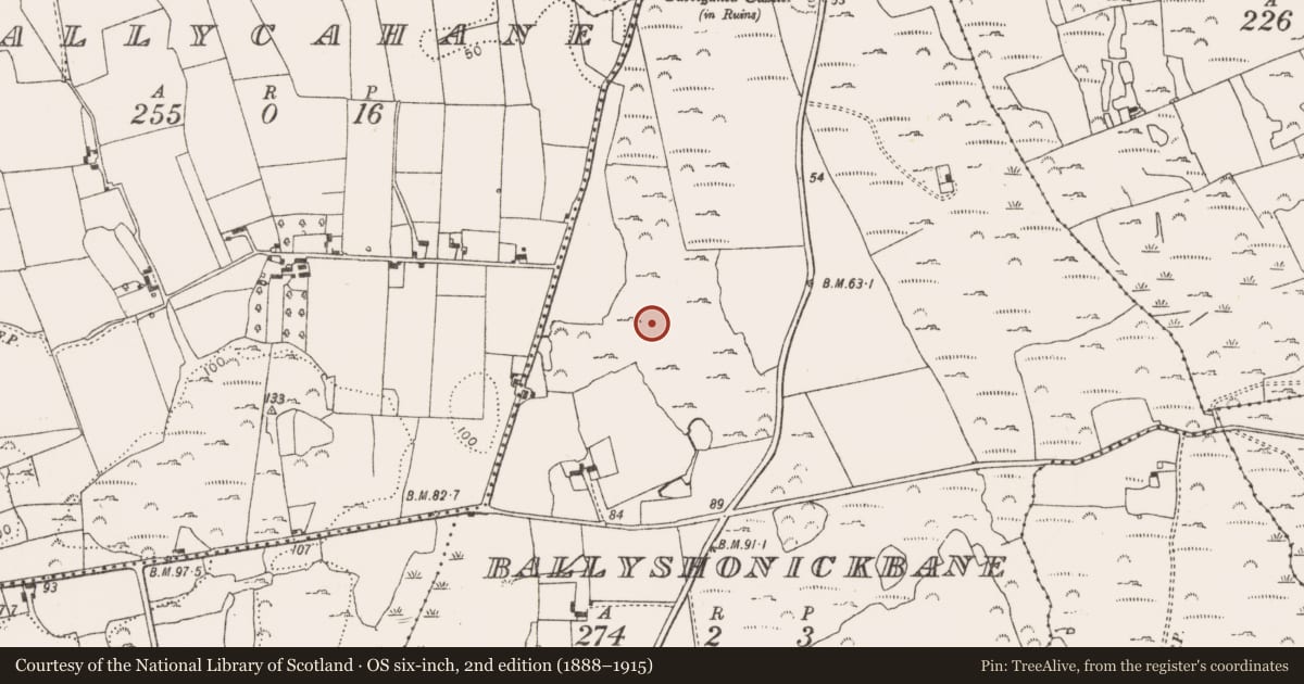 Ordnance Survey six-inch map, 2nd edition (1888–1915) covering the location of Ringfort - rath, Ballyshonickbane, County Limerick, with a pin at the register's coordinates