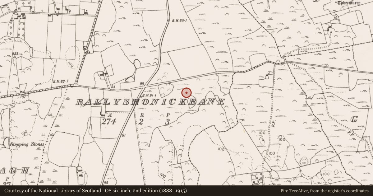 Ordnance Survey six-inch map, 2nd edition (1888–1915) covering the location of Ringfort - rath, Ballyshonickbane, County Limerick, with a pin at the register's coordinates