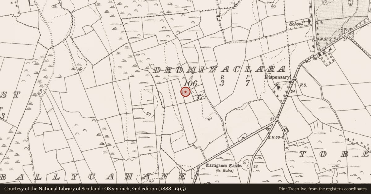 Ordnance Survey six-inch map, 2nd edition (1888–1915) covering the location of Ringfort - rath, Drominaclara, County Limerick, with a pin at the register's coordinates