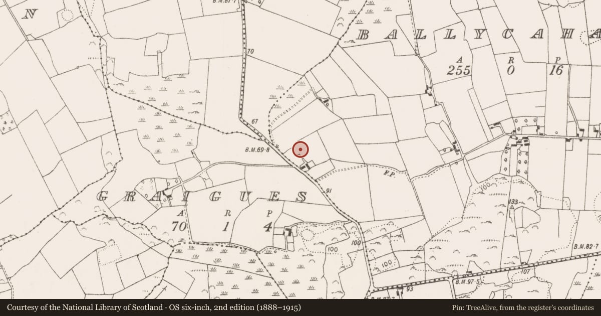 Ordnance Survey six-inch map, 2nd edition (1888–1915) covering the location of Ringfort - rath, Ballycahane, County Limerick, with a pin at the register's coordinates
