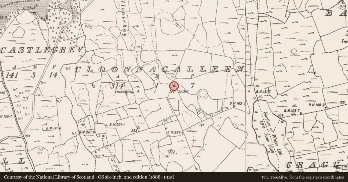 Ordnance Survey six-inch map, 2nd edition (1888–1915) covering the location of Enclosure, Cloonnagalleen, County Limerick, with a pin at the register's coordinates