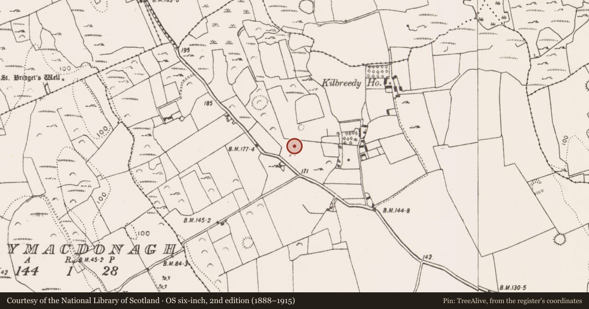 Ordnance Survey six-inch map, 2nd edition (1888–1915) covering the location of Standing stone, Kilbreedy, County Limerick, with a pin at the register's coordinates