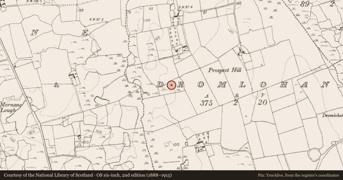 Ordnance Survey six-inch map, 2nd edition (1888–1915) covering the location of Enclosure, Dromlohan, County Limerick, with a pin at the register's coordinates