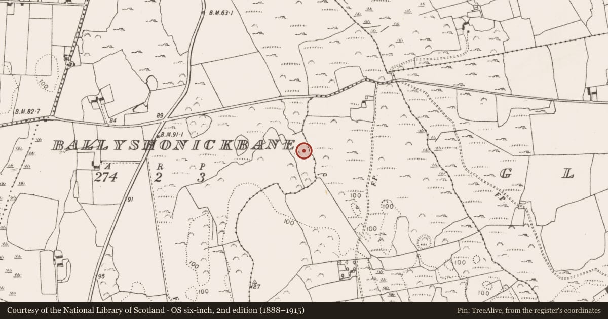 Ordnance Survey six-inch map, 2nd edition (1888–1915) covering the location of Enclosure, Ballyshonickbane, County Limerick, with a pin at the register's coordinates