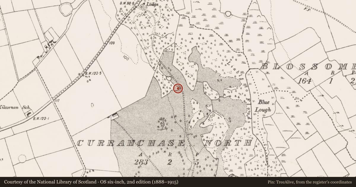 Ordnance Survey six-inch map, 2nd edition (1888–1915) covering the location of Burnt mound, Currahchase North, County Limerick, with a pin at the register's coordinates