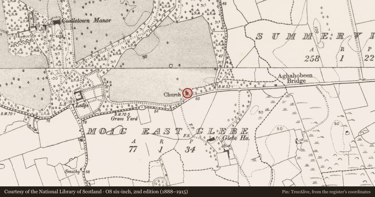 Ordnance Survey six-inch map, 2nd edition (1888–1915) covering the location of Graveyard, Moig East Glebe, County Limerick, with a pin at the register's coordinates