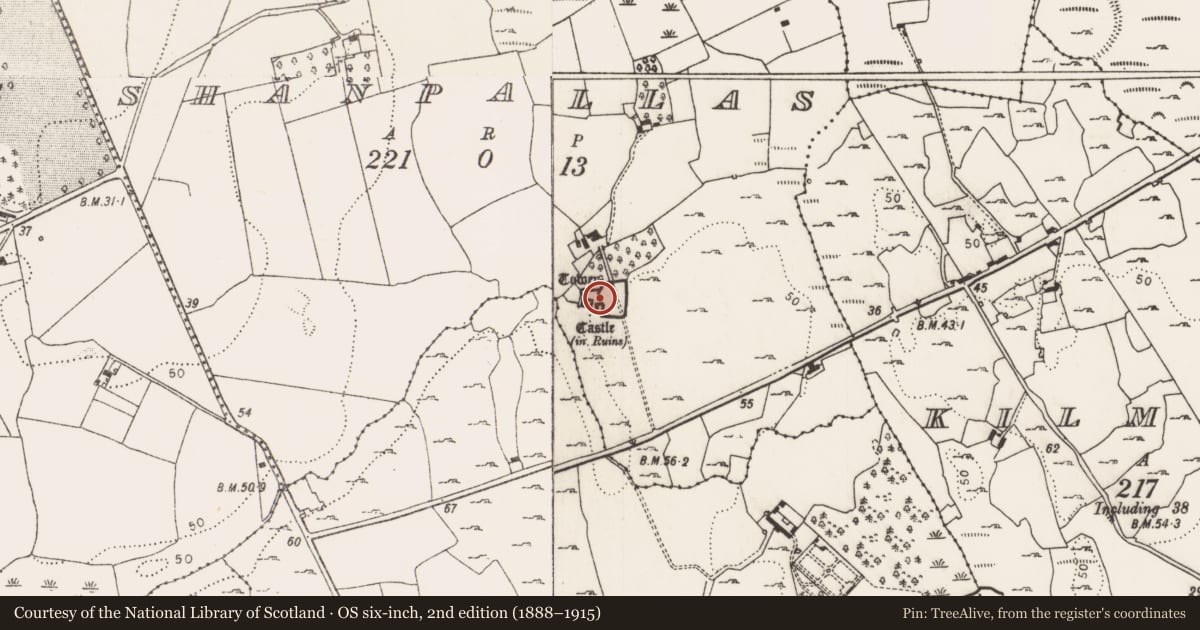 Ordnance Survey six-inch map, 2nd edition (1888–1915) covering the location of Castle - tower house, Shanpallas, County Limerick, with a pin at the register's coordinates