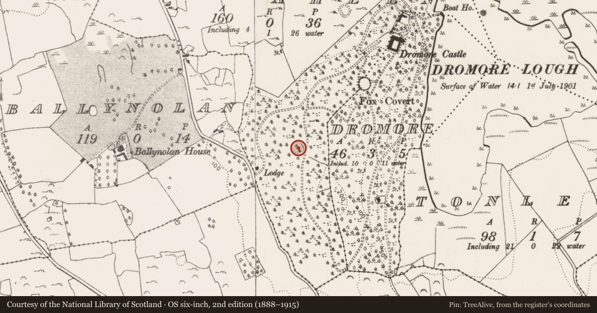 Ordnance Survey six-inch map, 2nd edition (1888–1915) covering the location of Ringfort - rath, Curraheen, County Limerick, with a pin at the register's coordinates