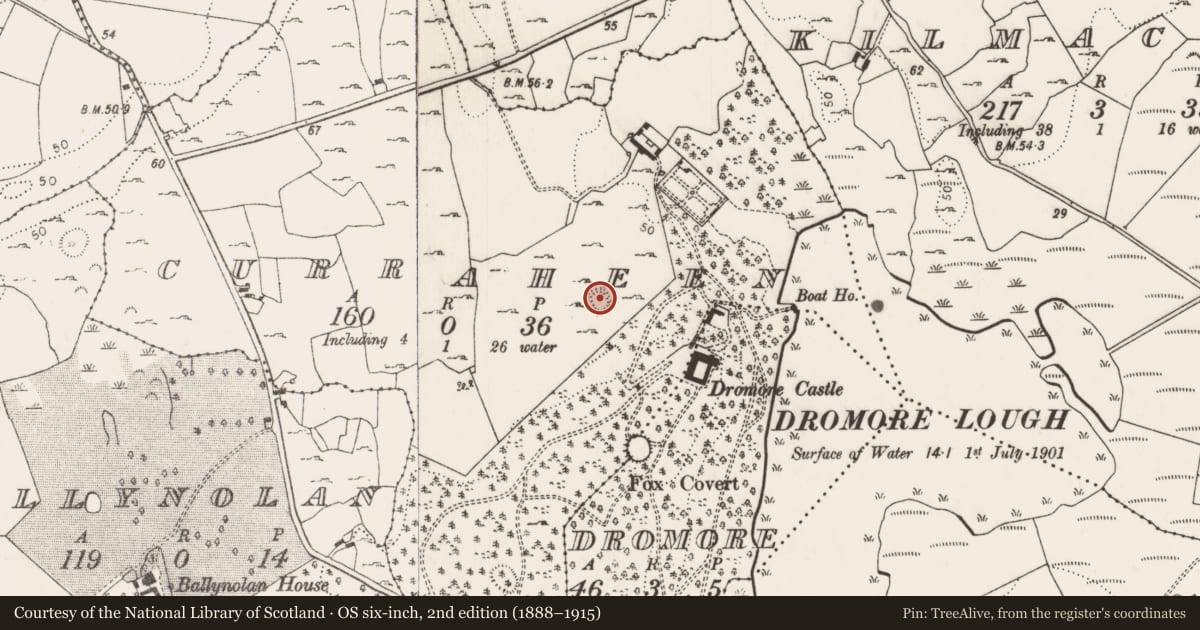 Ordnance Survey six-inch map, 2nd edition (1888–1915) covering the location of Ringfort - rath, Curraheen, County Limerick, with a pin at the register's coordinates