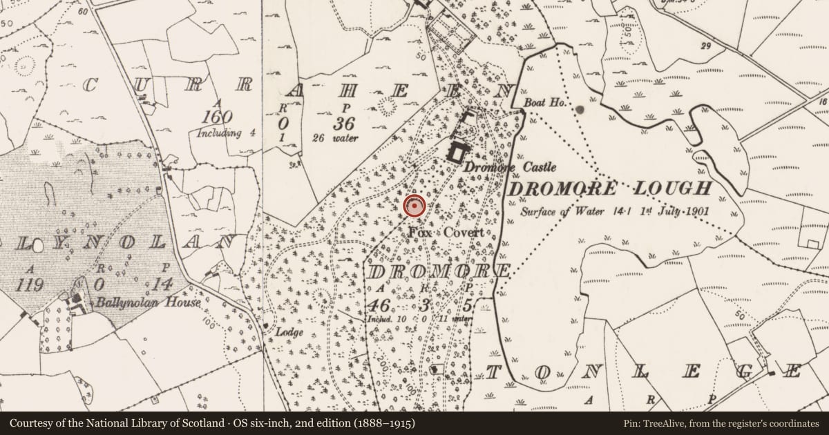 Ordnance Survey six-inch map, 2nd edition (1888–1915) covering the location of Ringfort - cashel, Curraheen, County Limerick, with a pin at the register's coordinates
