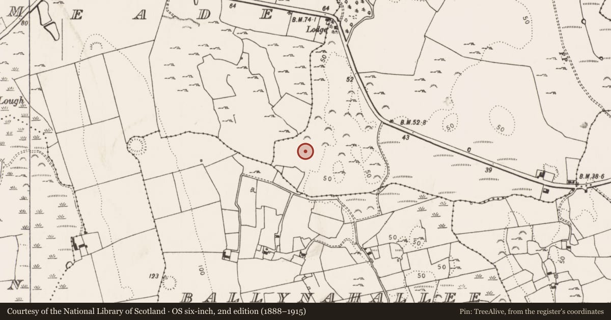 Ordnance Survey six-inch map, 2nd edition (1888–1915) covering the location of Ringfort - rath, Bolane, County Limerick, with a pin at the register's coordinates