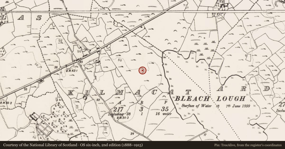 Ordnance Survey six-inch map, 2nd edition (1888–1915) covering the location of Ringfort - cashel, Kilmacat, County Limerick, with a pin at the register's coordinates