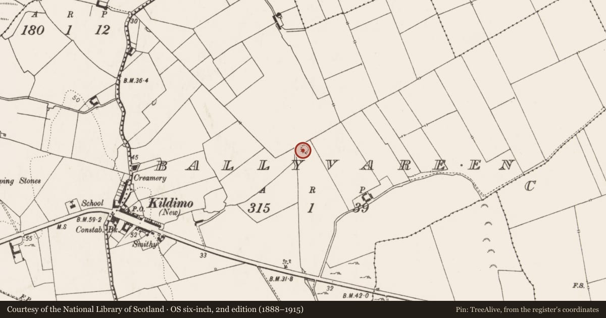 Ordnance Survey six-inch map, 2nd edition (1888–1915) covering the location of Ringfort - rath, Ballyvareen, County Limerick, with a pin at the register's coordinates