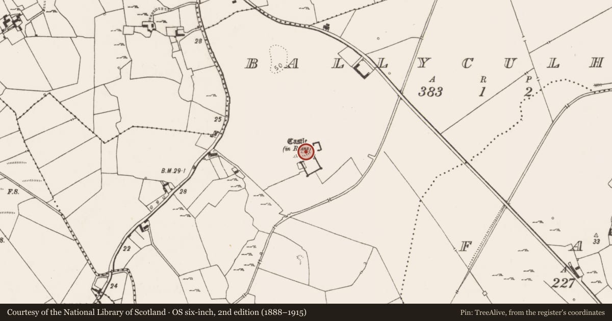 Ordnance Survey six-inch map, 2nd edition (1888–1915) covering the location of Earthwork, Ballyculhane, County Limerick, with a pin at the register's coordinates