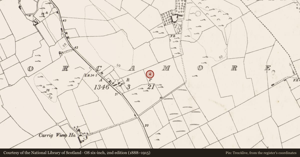 Ordnance Survey six-inch map, 2nd edition (1888–1915) covering the location of Ringfort - rath, Corcamore, County Limerick, with a pin at the register's coordinates