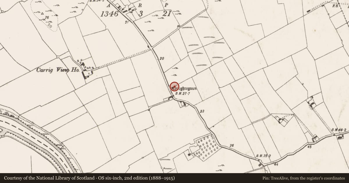 Ordnance Survey six-inch map, 2nd edition (1888–1915) covering the location of Megalithic structure, Corcamore, County Limerick, with a pin at the register's coordinates