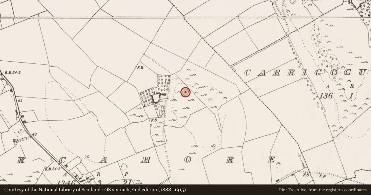 Ordnance Survey six-inch map, 2nd edition (1888–1915) covering the location of Ringfort - rath, Corcamore, County Limerick, with a pin at the register's coordinates