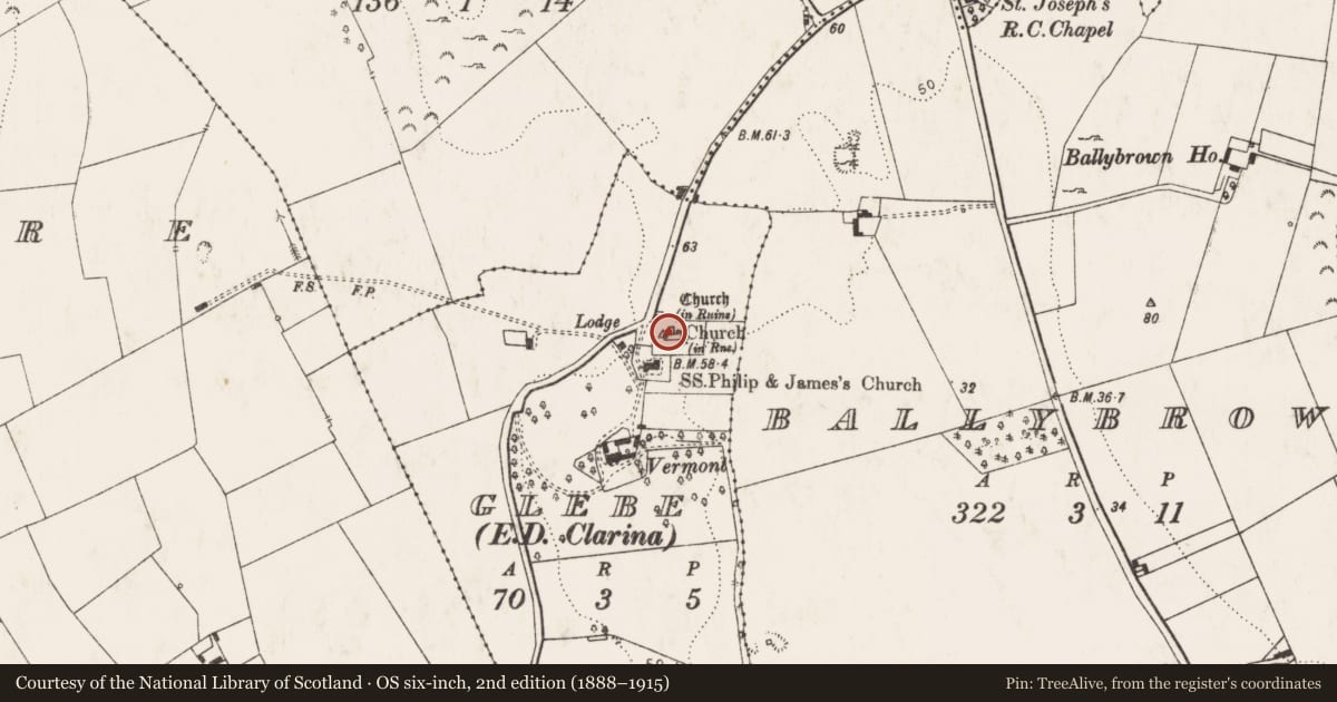Ordnance Survey six-inch map, 2nd edition (1888–1915) covering the location of Stone head, Glebe, County Limerick, with a pin at the register's coordinates