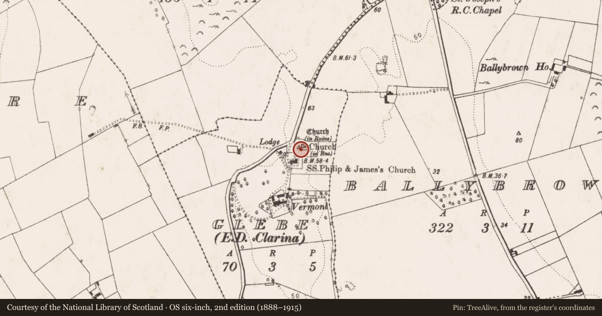 Ordnance Survey six-inch map, 2nd edition (1888–1915) covering the location of Stone head, Glebe, County Limerick, with a pin at the register's coordinates