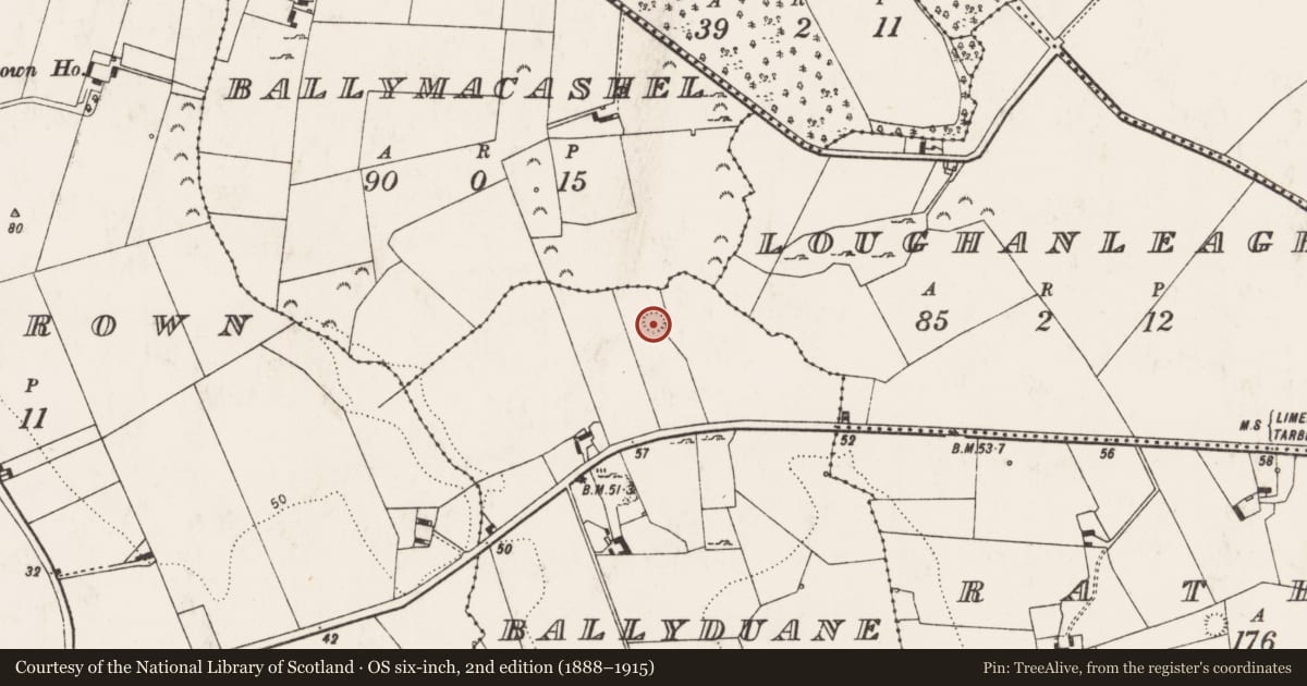 Ordnance Survey six-inch map, 2nd edition (1888–1915) covering the location of Ringfort - cashel, Ballyduane, County Limerick, with a pin at the register's coordinates