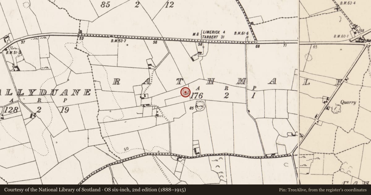 Ordnance Survey six-inch map, 2nd edition (1888–1915) covering the location of Ringfort - rath, Rathmale, County Limerick, with a pin at the register's coordinates