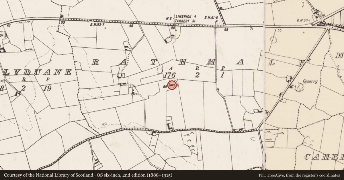 Ordnance Survey six-inch map, 2nd edition (1888–1915) covering the location of Ringfort - cashel, Rathmale, County Limerick, with a pin at the register's coordinates