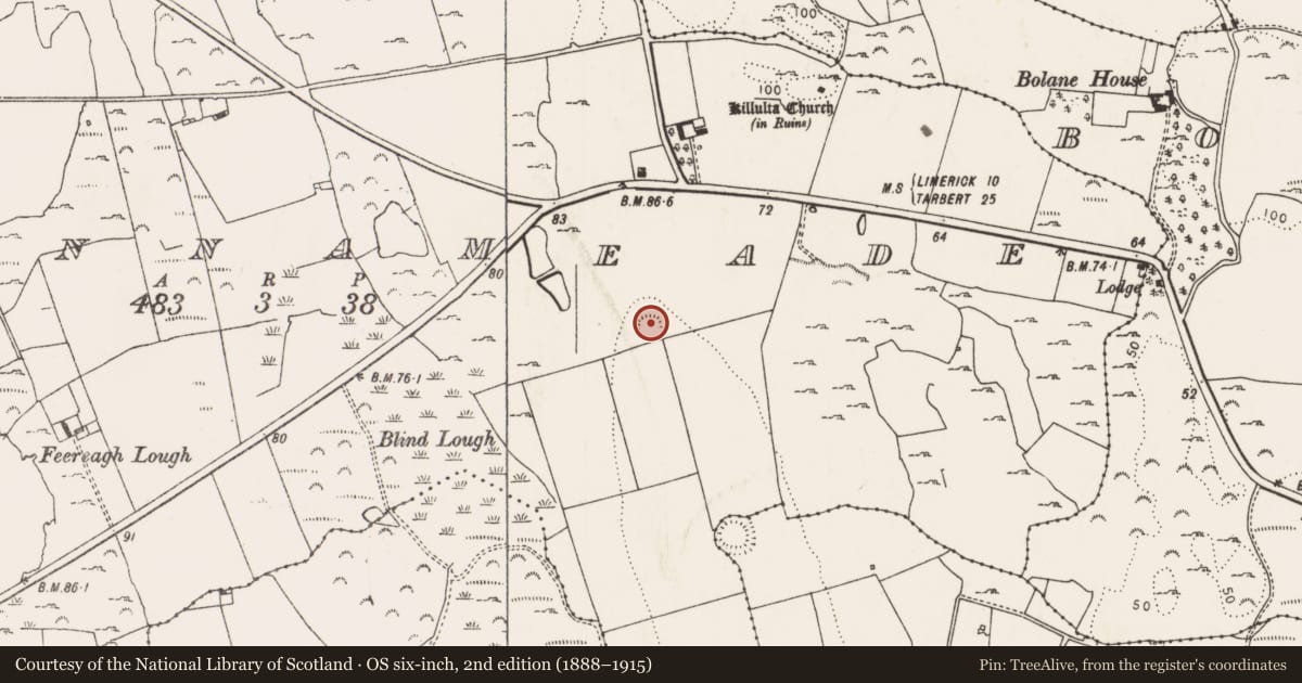 Ordnance Survey six-inch map, 2nd edition (1888–1915) covering the location of Ringfort - cashel, Glennameade, County Limerick, with a pin at the register's coordinates