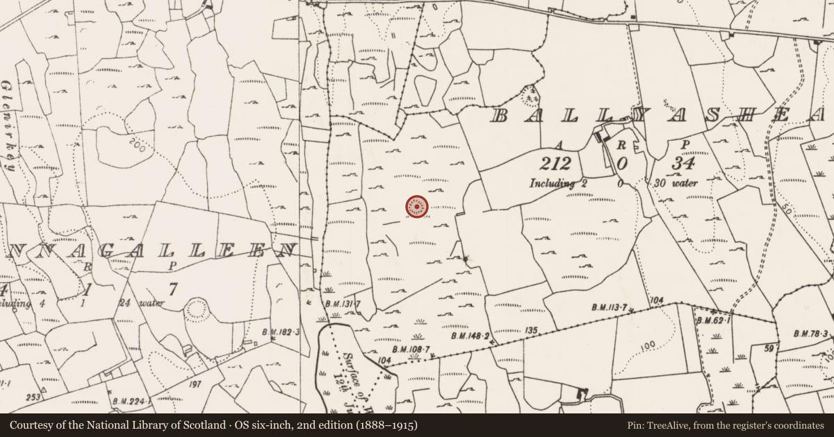 Ordnance Survey six-inch map, 2nd edition (1888–1915) covering the location of Ringfort - rath, Ballyashea, County Limerick, with a pin at the register's coordinates