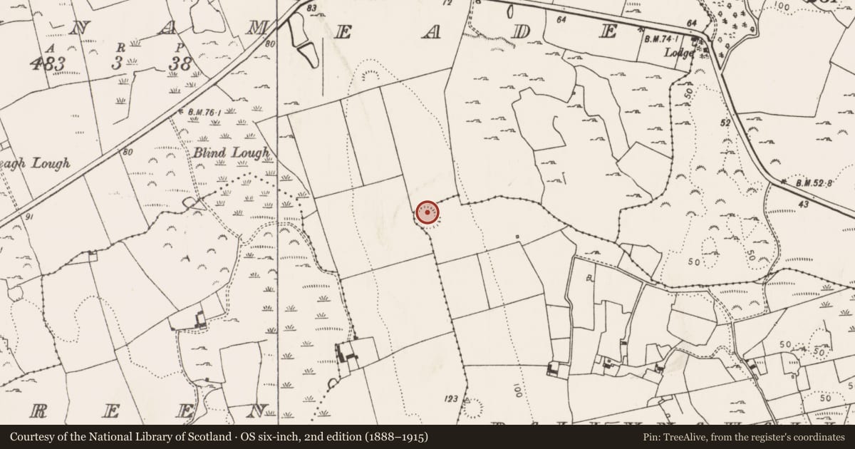 Ordnance Survey six-inch map, 2nd edition (1888–1915) covering the location of Ringfort - rath, Ballynahallee, County Limerick, with a pin at the register's coordinates