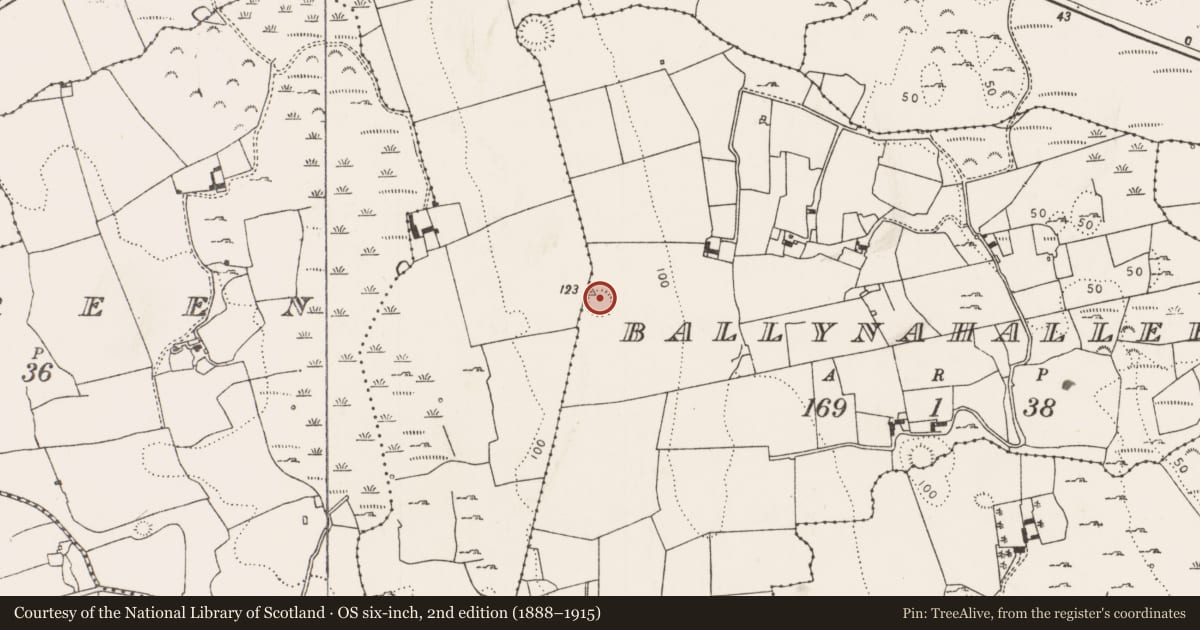 Ordnance Survey six-inch map, 2nd edition (1888–1915) covering the location of Ringfort - rath, Ballynahallee, County Limerick, with a pin at the register's coordinates