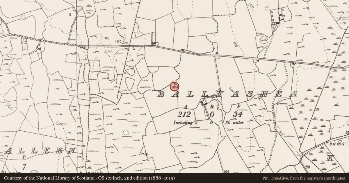 Ordnance Survey six-inch map, 2nd edition (1888–1915) covering the location of Ringfort - rath, Ballyashea, County Limerick, with a pin at the register's coordinates