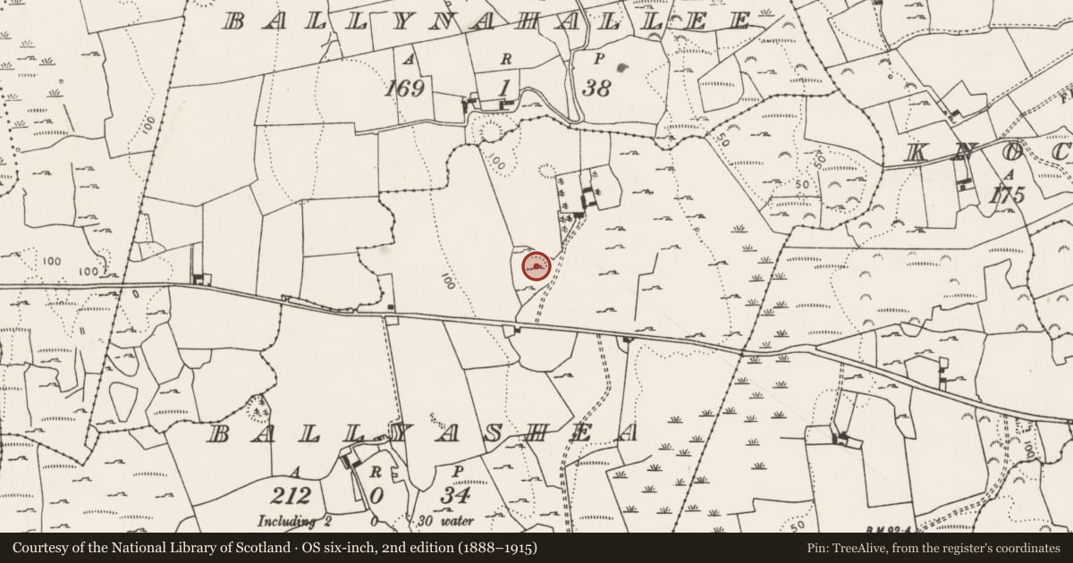 Ordnance Survey six-inch map, 2nd edition (1888–1915) covering the location of Ringfort - rath, Ballyashea, County Limerick, with a pin at the register's coordinates