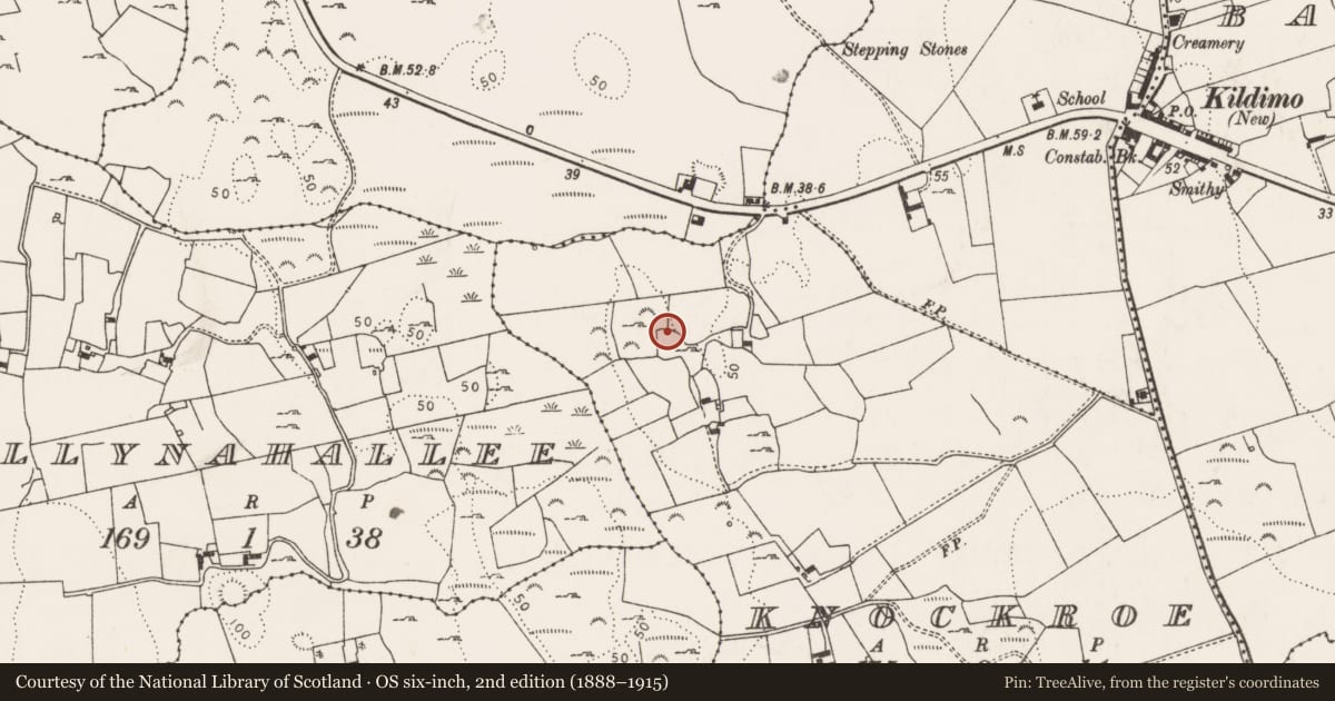 Ordnance Survey six-inch map, 2nd edition (1888–1915) covering the location of Ringfort - rath, Knockroe, County Limerick, with a pin at the register's coordinates