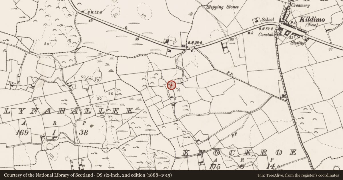 Ordnance Survey six-inch map, 2nd edition (1888–1915) covering the location of Ringfort - rath, Knockroe, County Limerick, with a pin at the register's coordinates