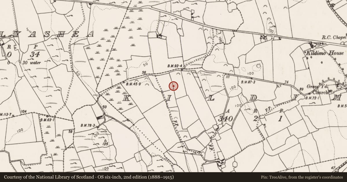 Ordnance Survey six-inch map, 2nd edition (1888–1915) covering the location of Enclosure, Kildimo, County Limerick, with a pin at the register's coordinates