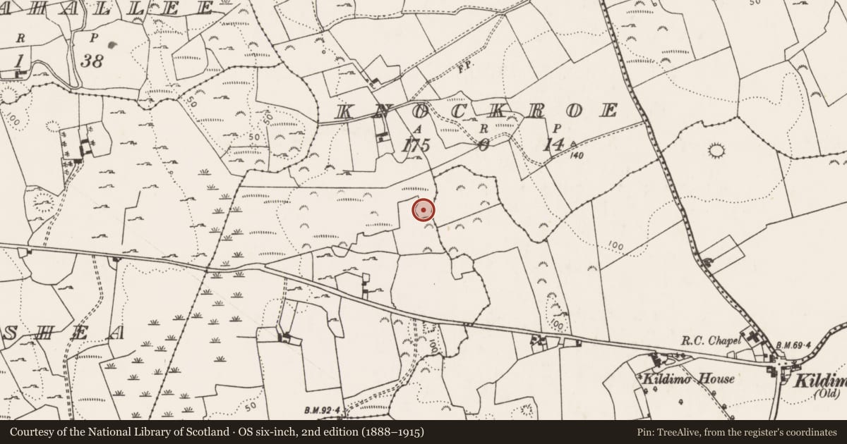 Ordnance Survey six-inch map, 2nd edition (1888–1915) covering the location of Ringfort - rath, Knockroe, County Limerick, with a pin at the register's coordinates